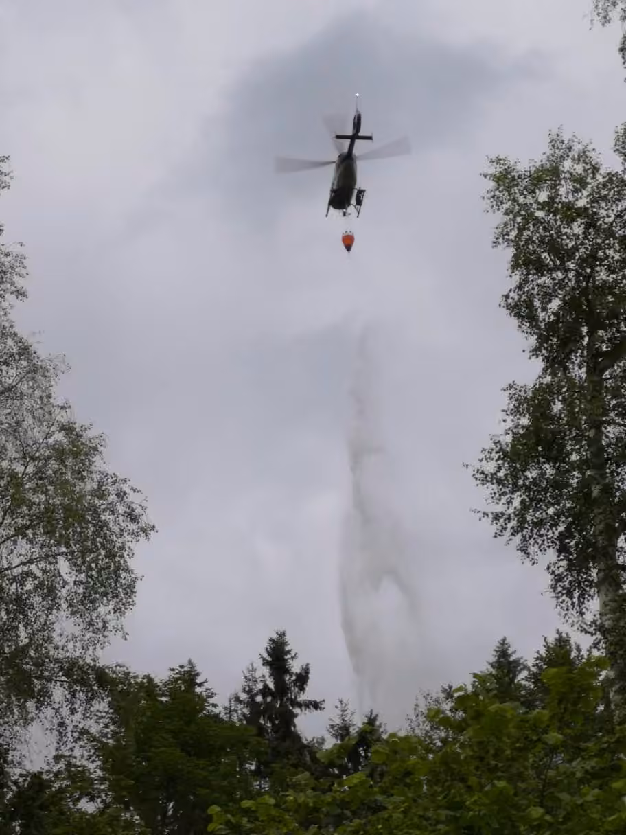 Waldbrand, Bild 1