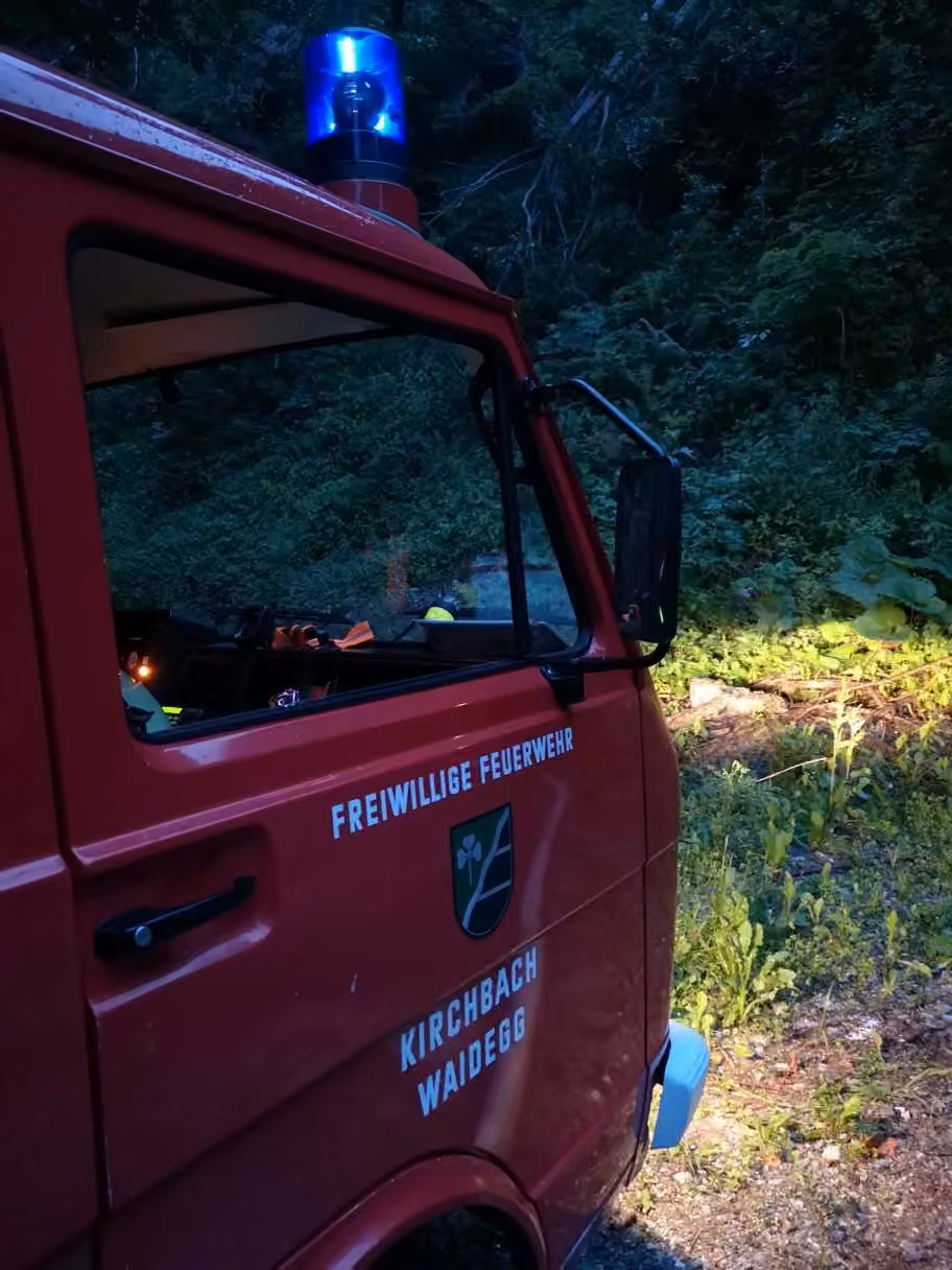 Waldbrand, Bild 2