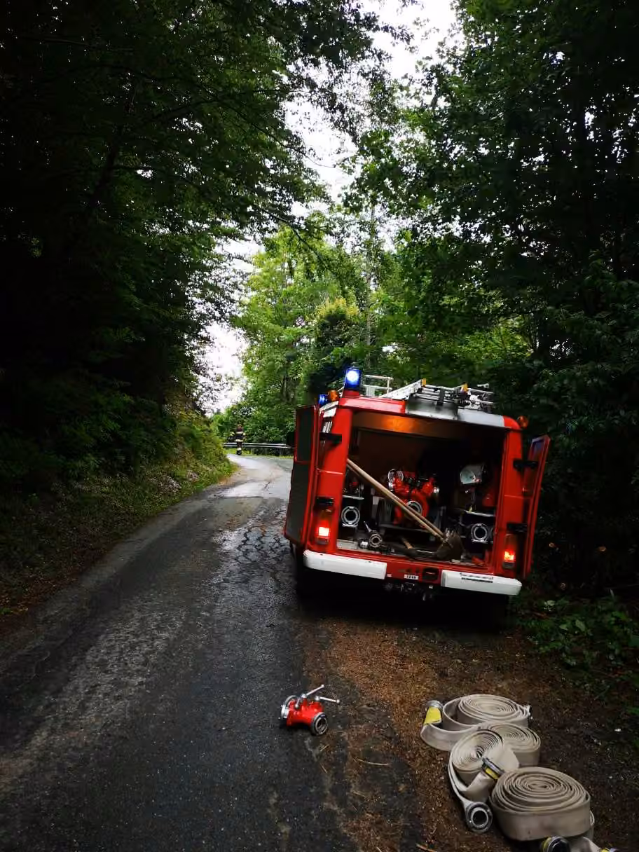 Waldbrand, Bild 3