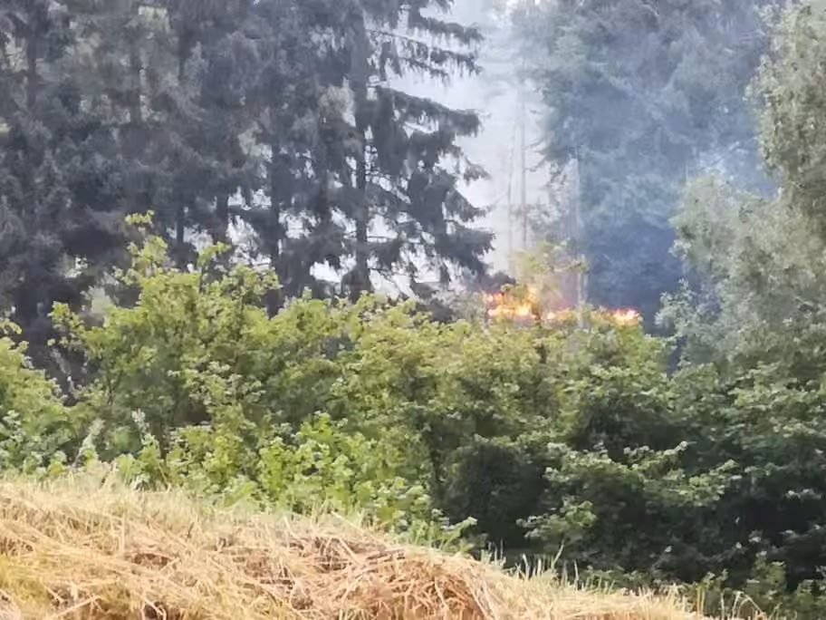 Waldbrand, Bild 4